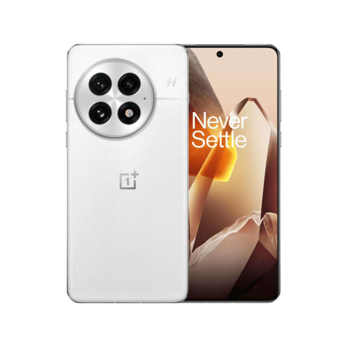 ONEPLUS 13 16+512GB ARTIC DAWN OEM