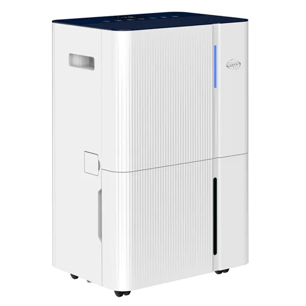 ARGO Dry Pury Evo WF 31